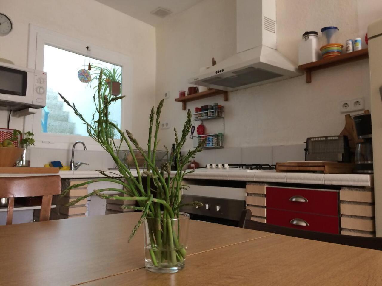 Casa Taller Penelles Penellas Dış mekan fotoğraf